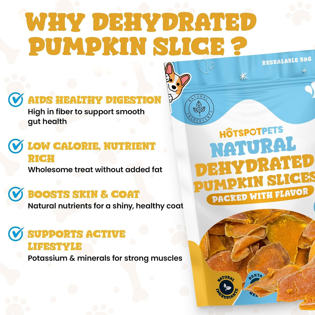 Crunchy dehydrated pumpkin slices for dogs