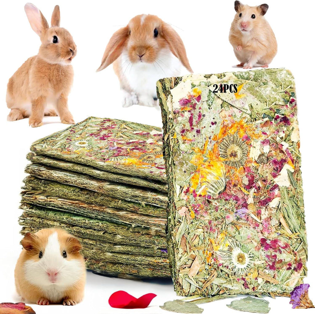 Premium imported pet chew snacks suitable for indoor gerbils, rats, and dwarf rabbits.