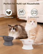 MateeyLife 2 pack elevated pet feeder set packaged for indoor pets