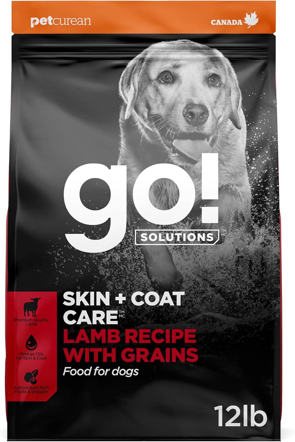 Go! Solutions Skin + Coat Care Salmon Dry Dog Food, 22 lb | With Grains, Supports Healthy, Hydrated Skin & Soft, Shiny Fur, Paw Pad Health & Digestion, For Puppies, Adults & Seniors - Image 15