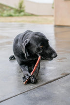 Best Pet Supplies dental dog chews in packaging