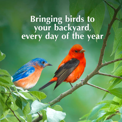 C&S Fruit n' Nut Suet Treat, Suet Cakes for Wild Birds Including Robins, Blue Jays, Bluebirds, Tanagers, Thrushes and More, 8 Pack - Image 9