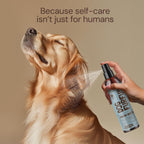 USA made professional dog salon grooming kit with aloe vera and silk protein