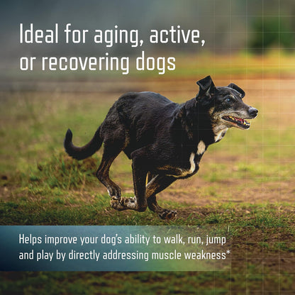 Bacon flavored ursolic acid dog supplement for mobility support side label