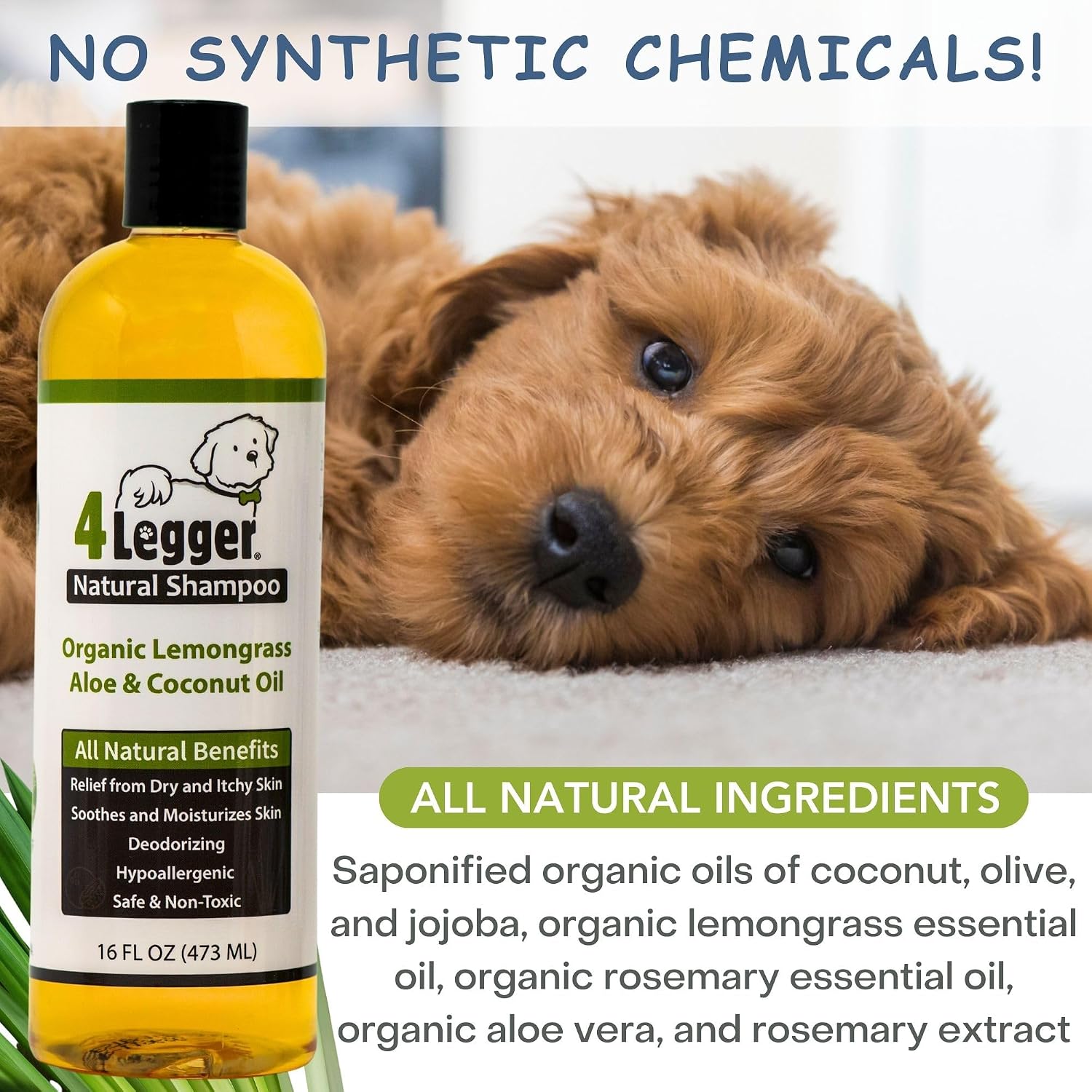 USDA certified organic dog shampoo for sensitive skin