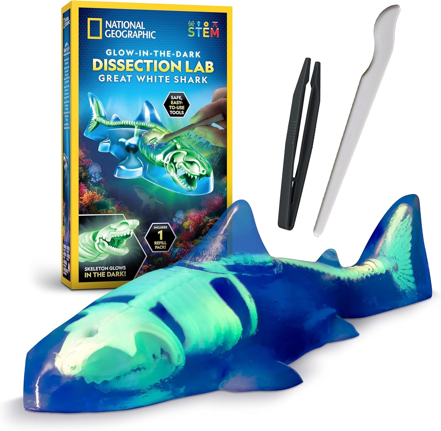National Geographic Shark Dissection Kit front view of the packaging showcasing the glow in the dark features.