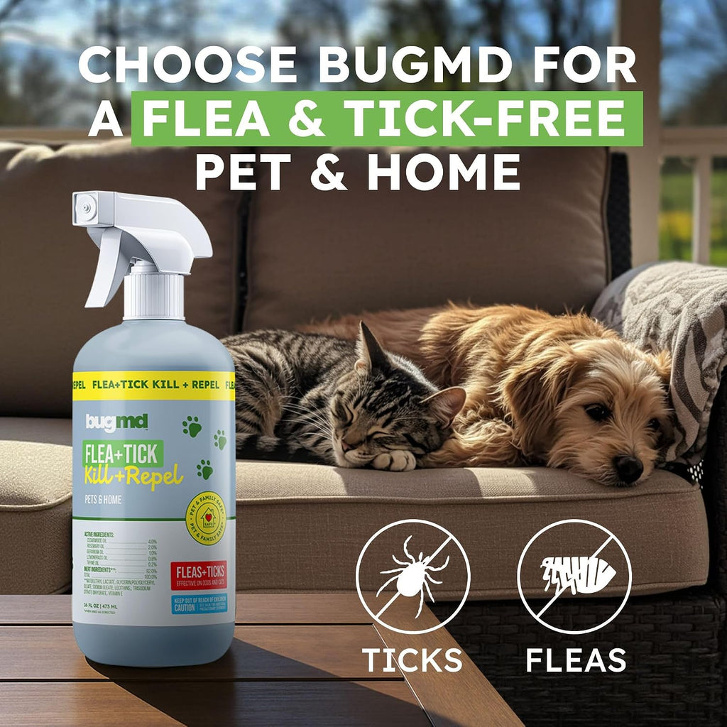 BugMD flea and tick control treatment safe for family households