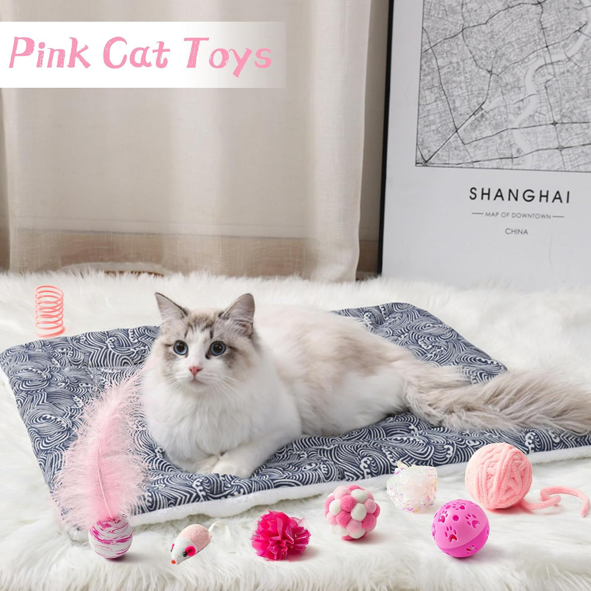 MALLMALL6 variety pack cat accessories for physical exercise