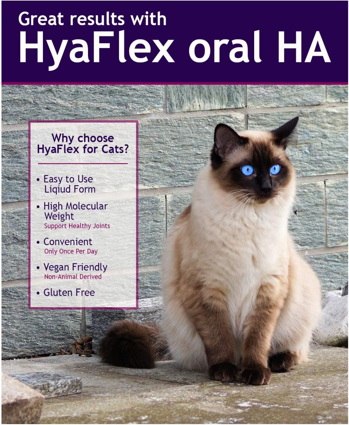 Hyalogic HyaFlex joint and skin support label details