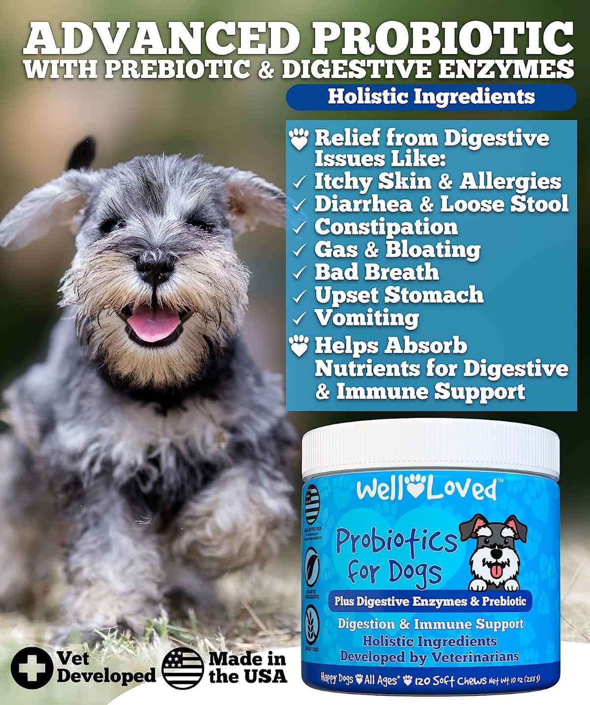 Well Loved dog probiotic supplement jar showing veterinarian developed holistic formula label