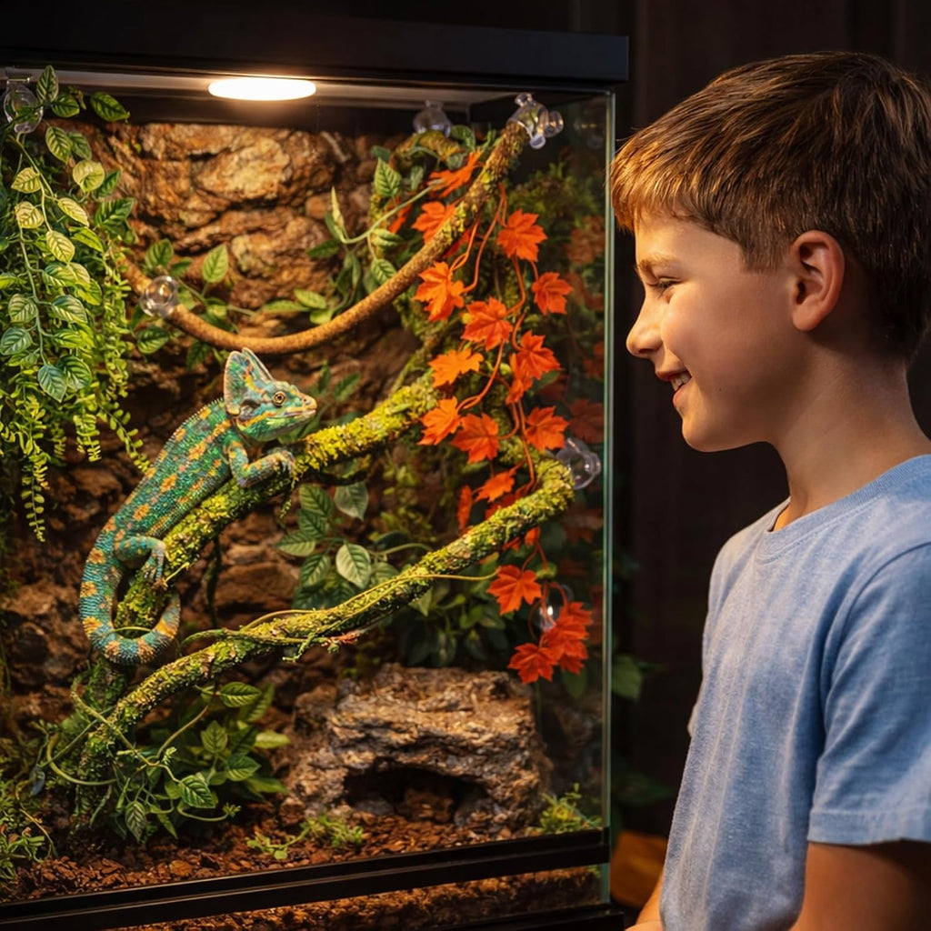 Full 5 piece reptile terrarium accessory kit layout