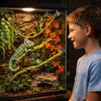 Full 5 piece reptile terrarium accessory kit layout