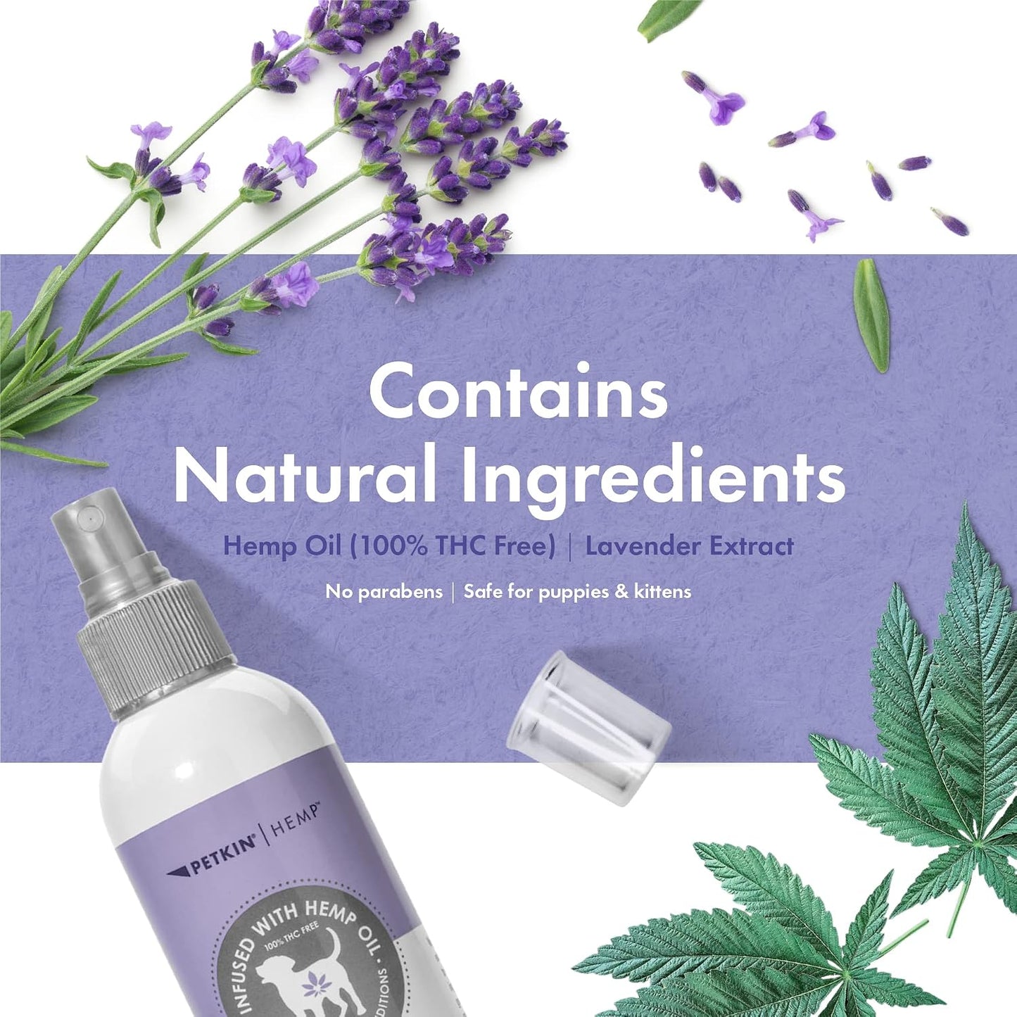 Spraying Petkin Hemp Fragrance on a dog bed