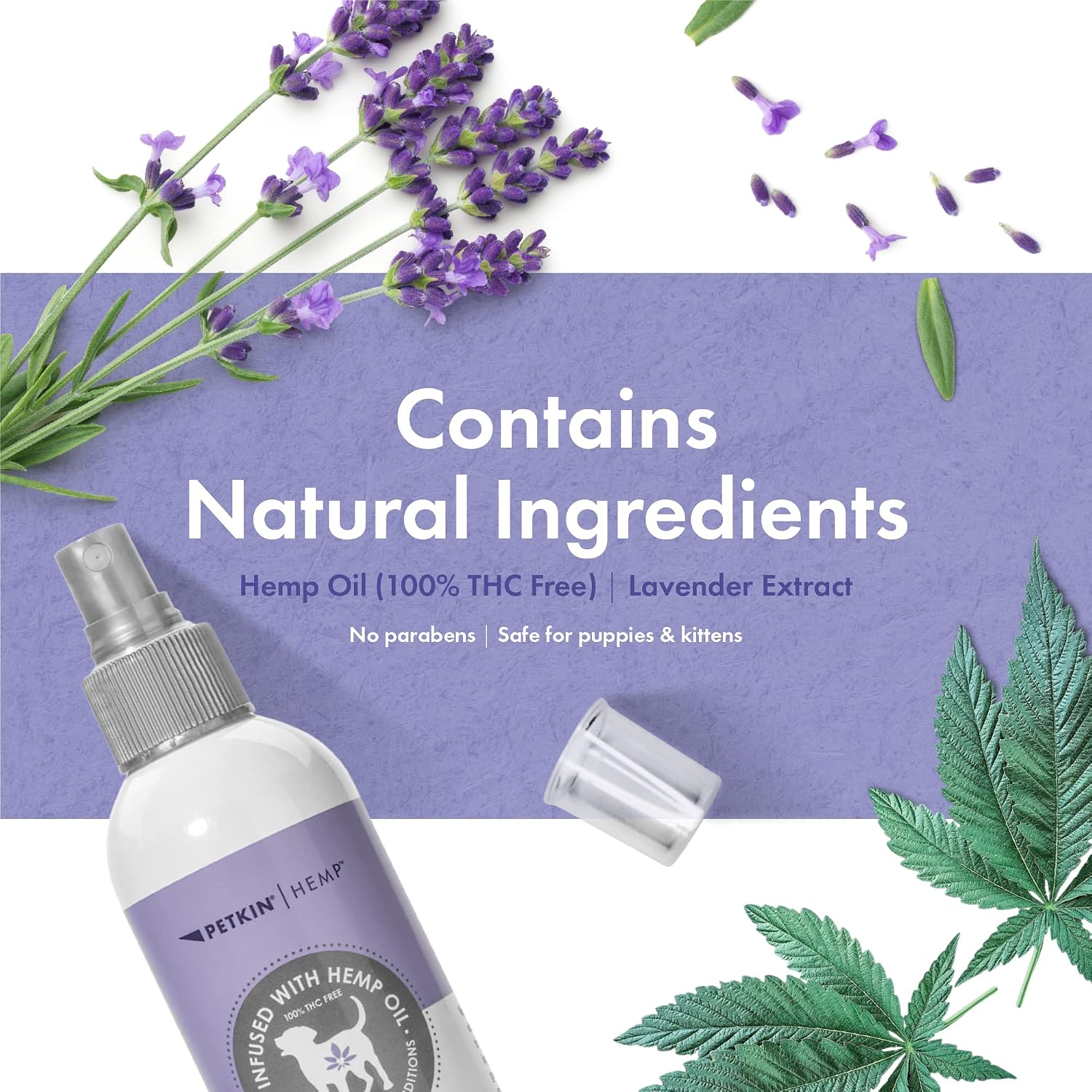 Spraying Petkin Hemp Fragrance on a dog bed