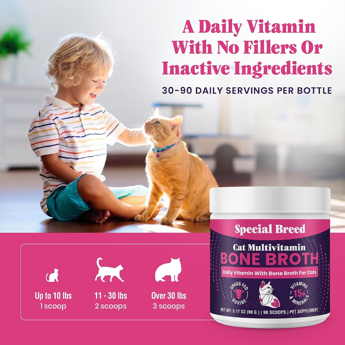 Healthy domestic cat enjoying food mixed with Special Breed daily multivitamin.