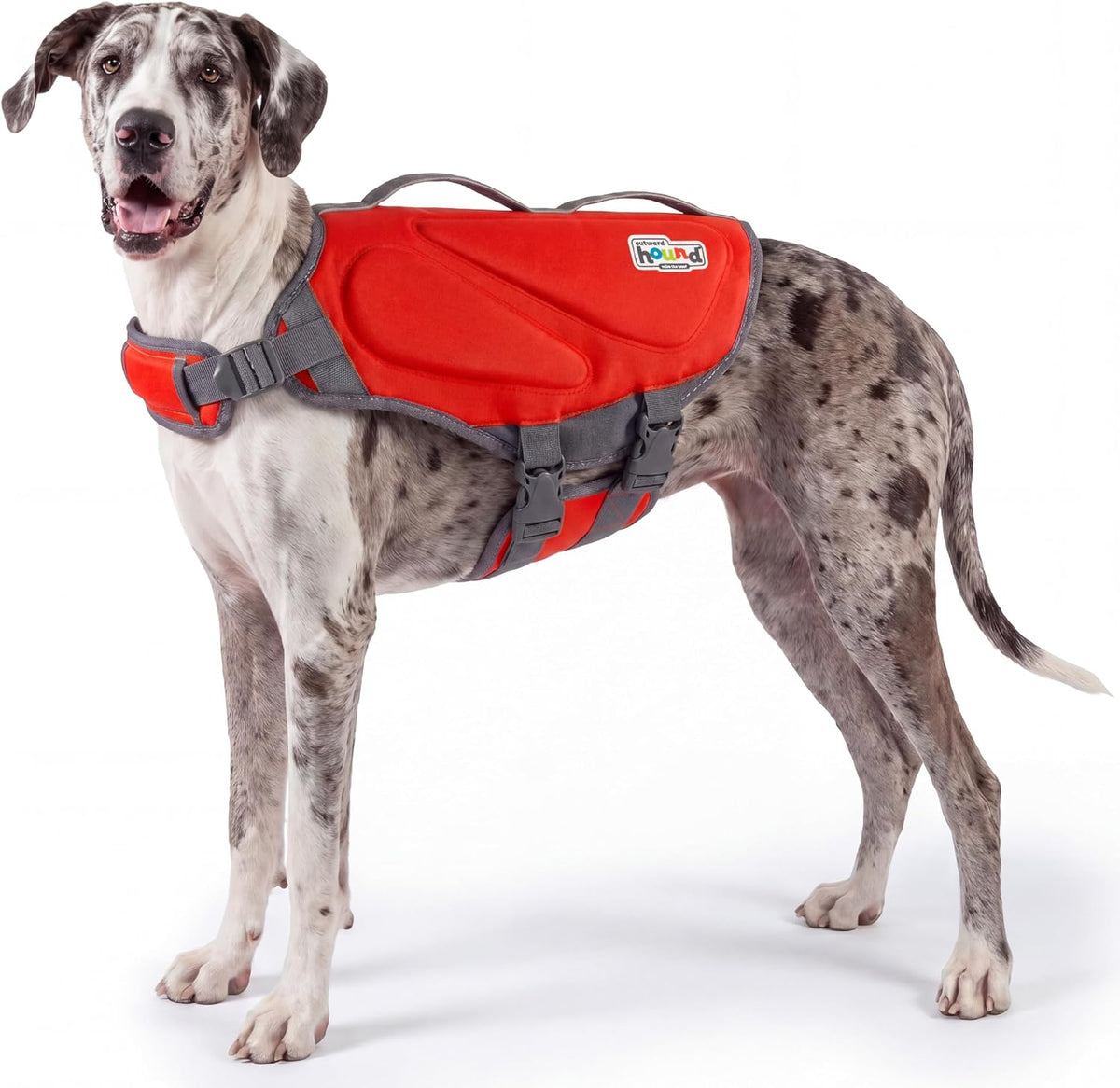 Outward Hound Dawson Swim Red Dog Life Jacket, Medium - Image 10