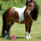 Animal wound care supplies with decorative print