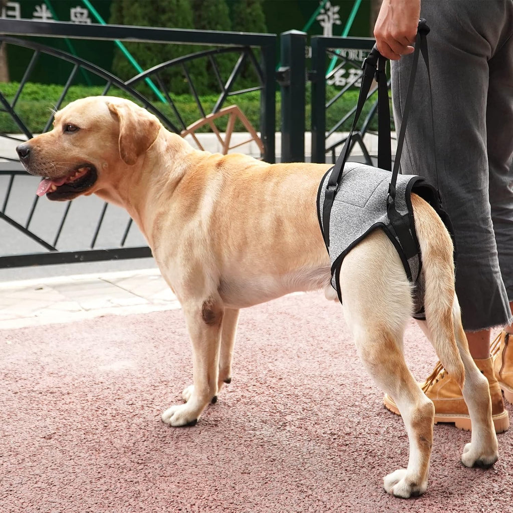 Close up of breathable material on Dotoner dog sling