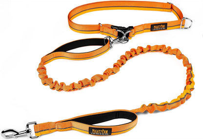 Mighty Paw Hands Free Bungee Leash 2.0 orange set