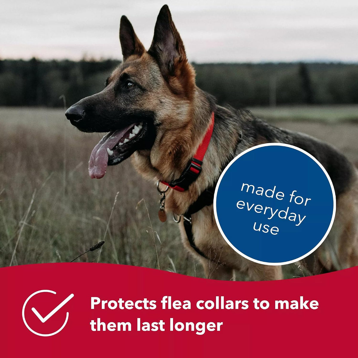 Close up of durable fabric on Coastal Pet collar accessory