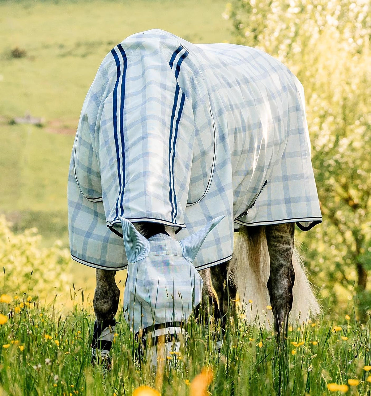 Horseware Newmarket Pony Plus Fly Sheet front view on pony