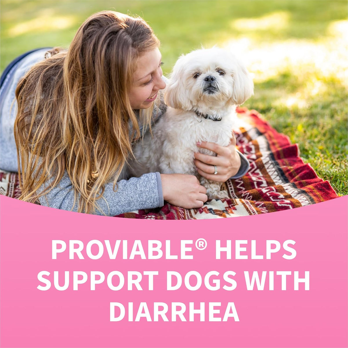 Nutramax Proviable chewable tablets for canine intestinal balance support.