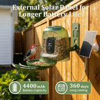 Smart Bird Feeder with Camera Solar Powered, Auto Capture 2.5K Videos - Image 5