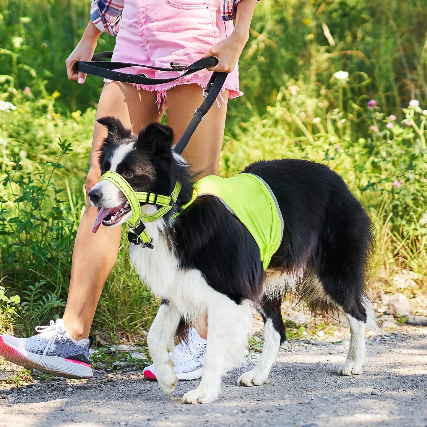 Weesiber medium green anti pulling head harness packaged view