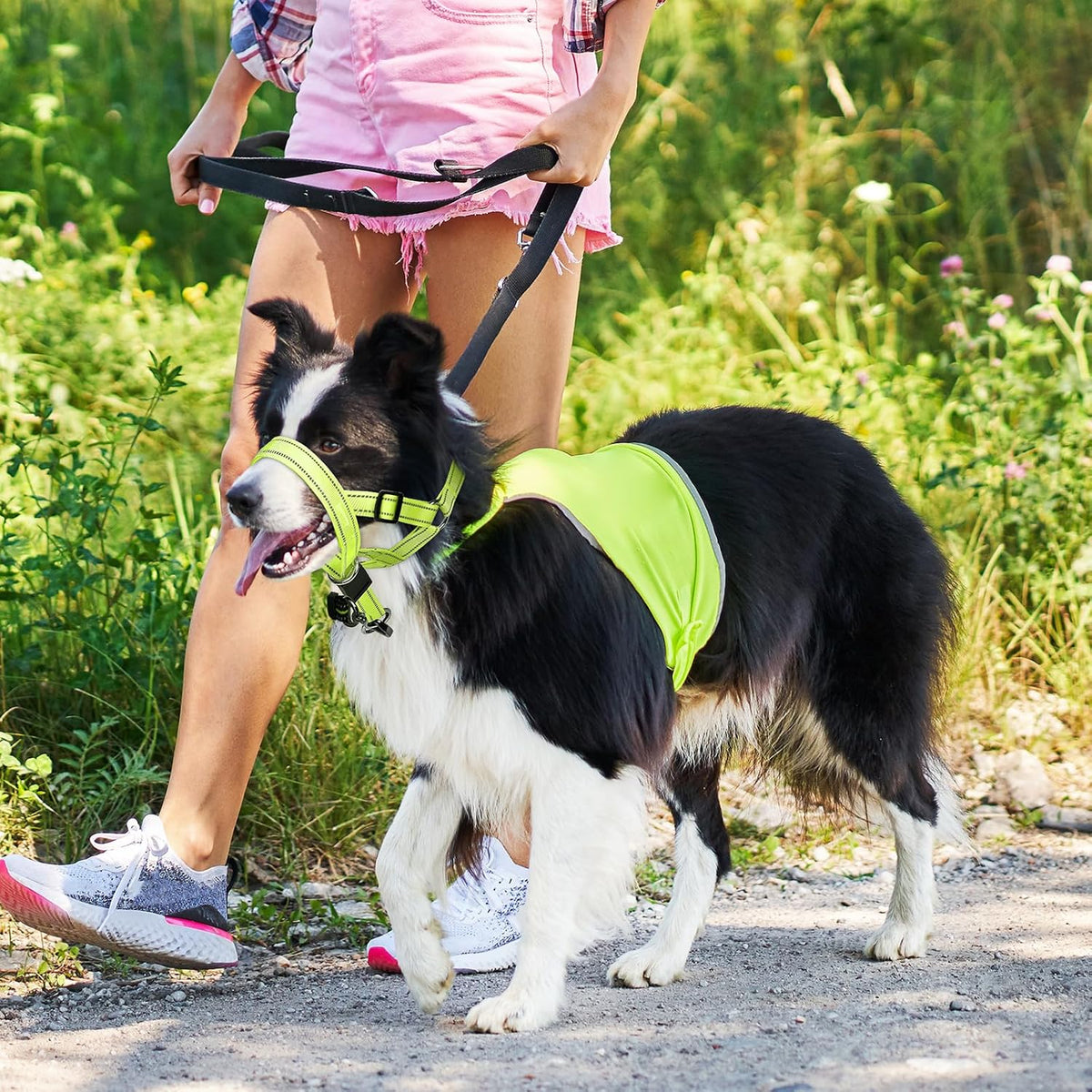 Weesiber medium green anti pulling head harness packaged view