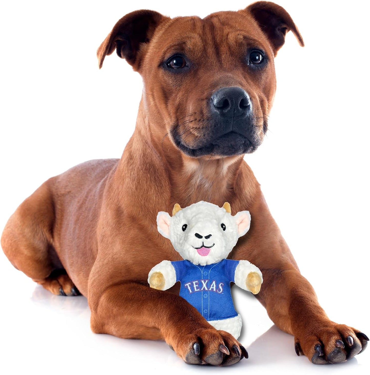 Back view of the official MLB Texas Rangers licensed goat plush dog toy.
