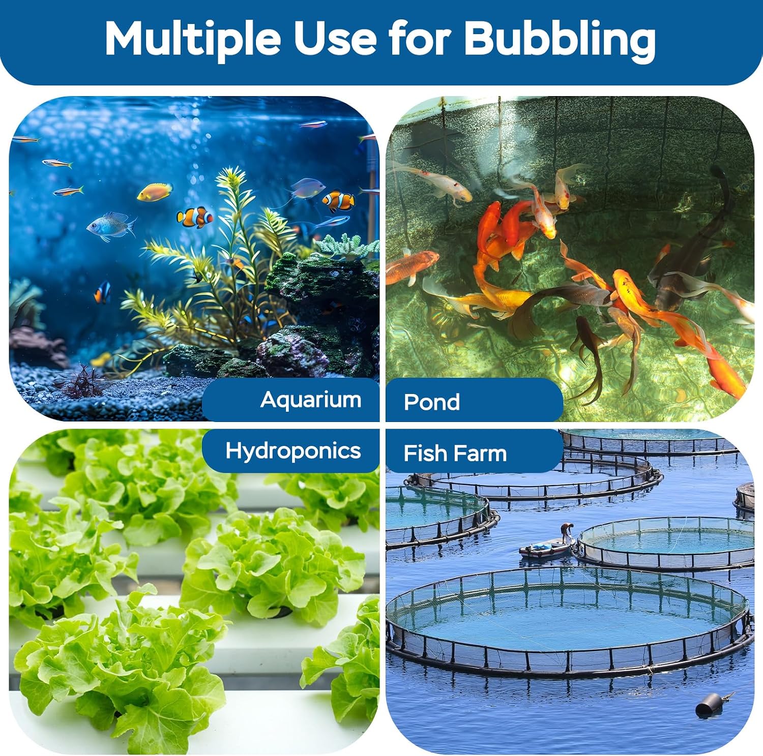 High dissolved oxygen bubble output from the AquaMiracle aquarium stone.