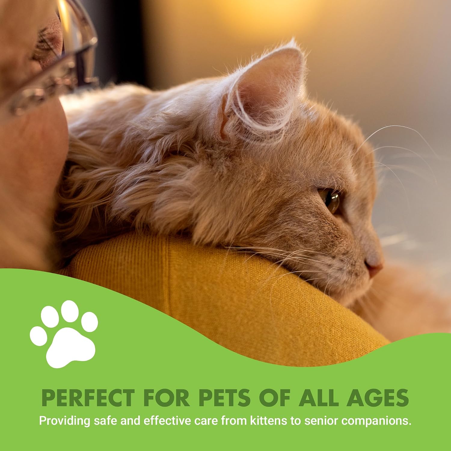 Liquid-Vet seafood flavor joint supplement for cats