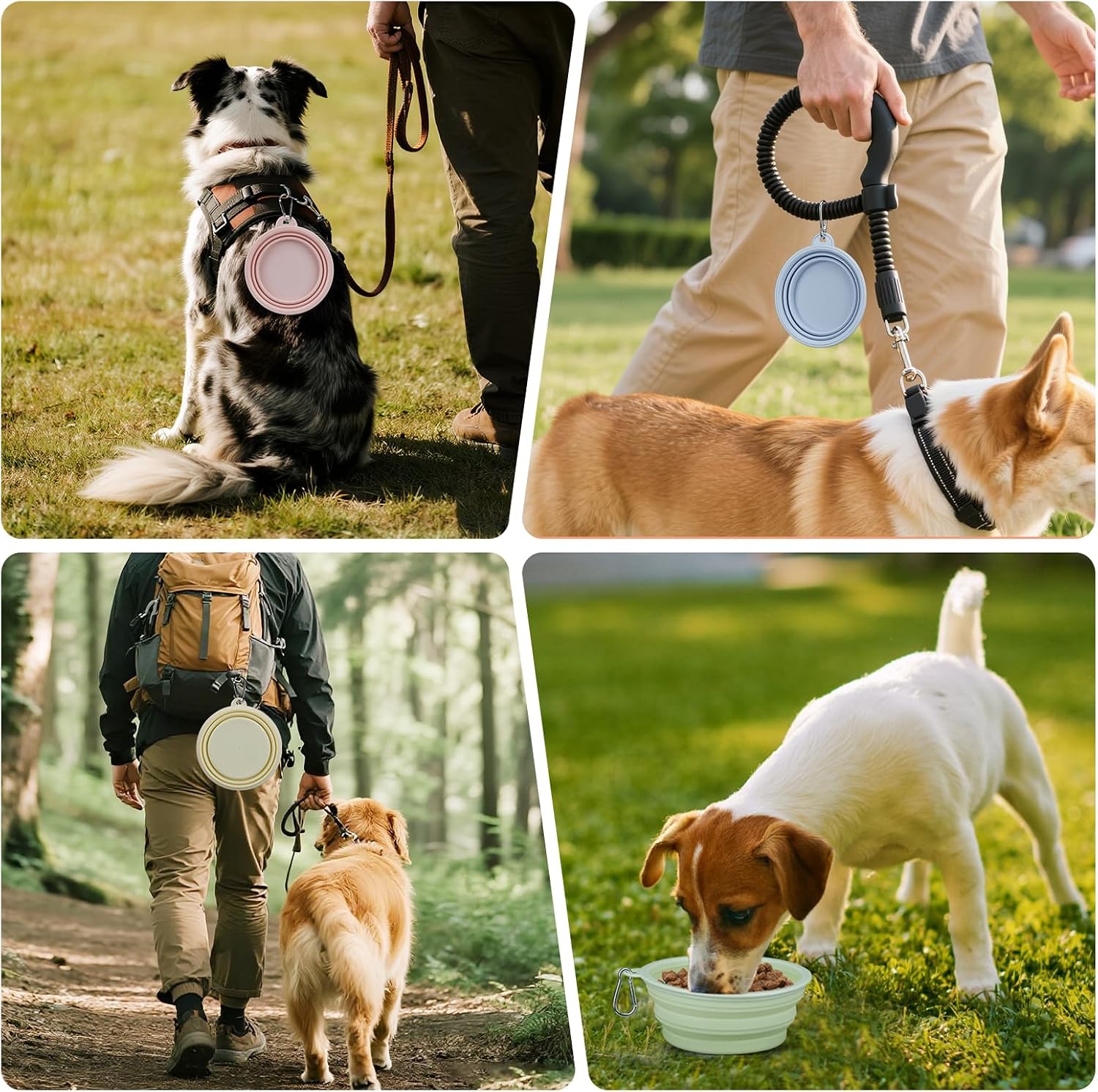 LeeRound portable pet travel bowl set for small and medium dogs