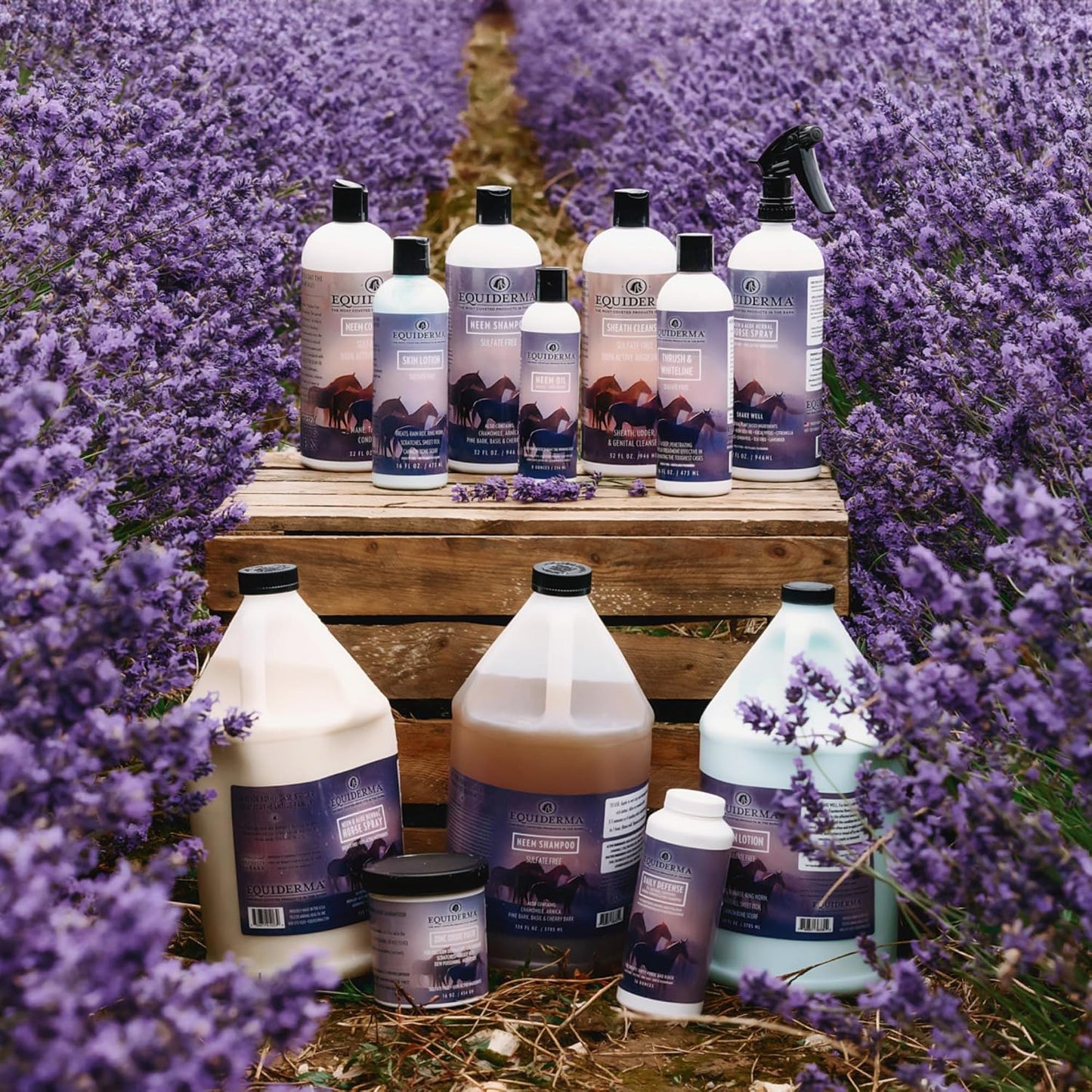 Equiderma aloe and neem horse spray application details