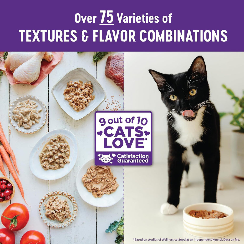 Wellness grain free cat food pouch packaging back view