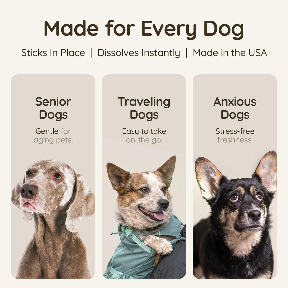 Furlicks imported USA pet oral care strips displayed on a clean background