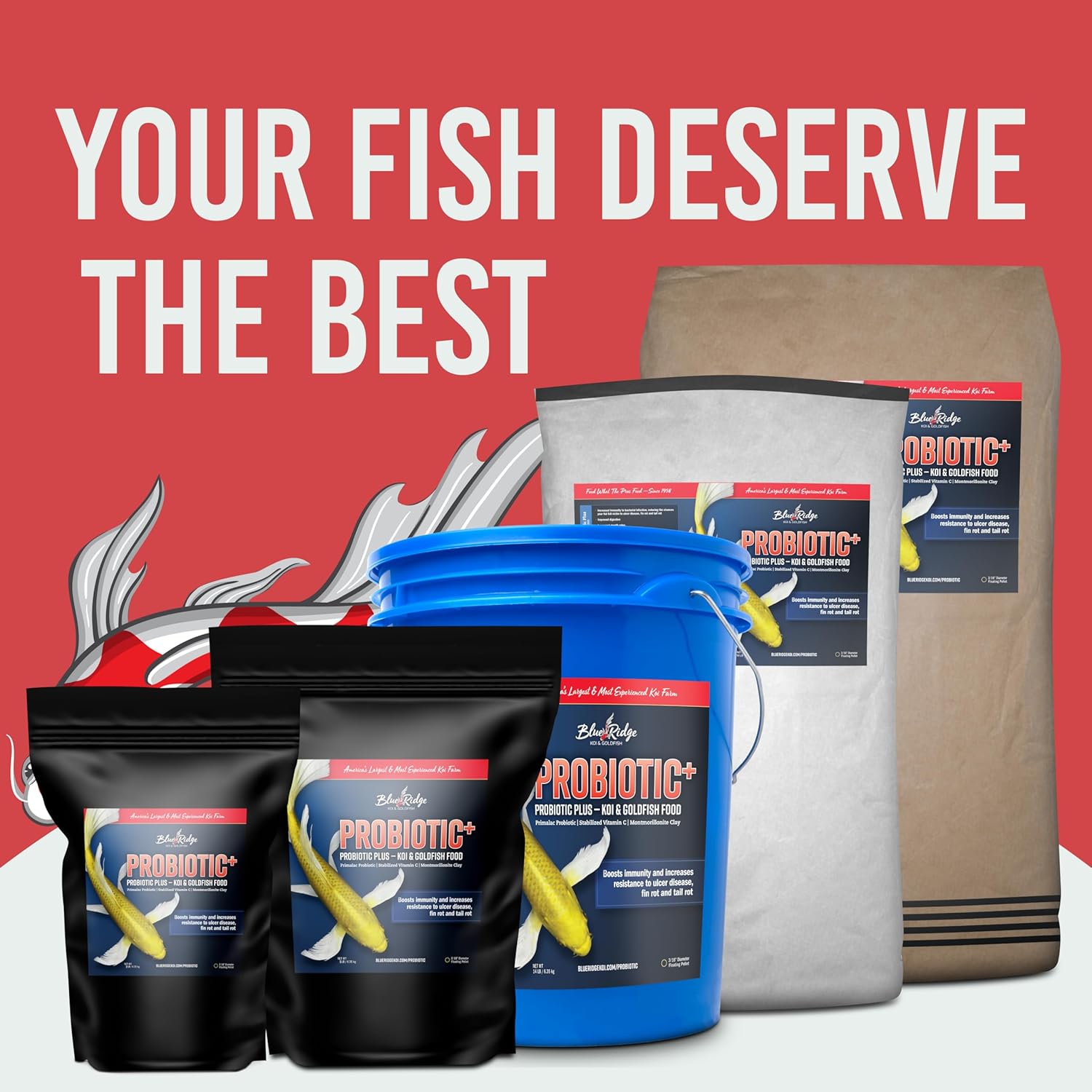 Blue Ridge Fish Food 5lb, Probiotic Plus 3/16" Floating Pellet, Koi Goldfish Food - Image 9