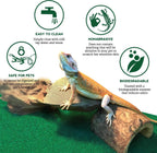 Bearded dragon resting comfortably on green reptile carpet substrate