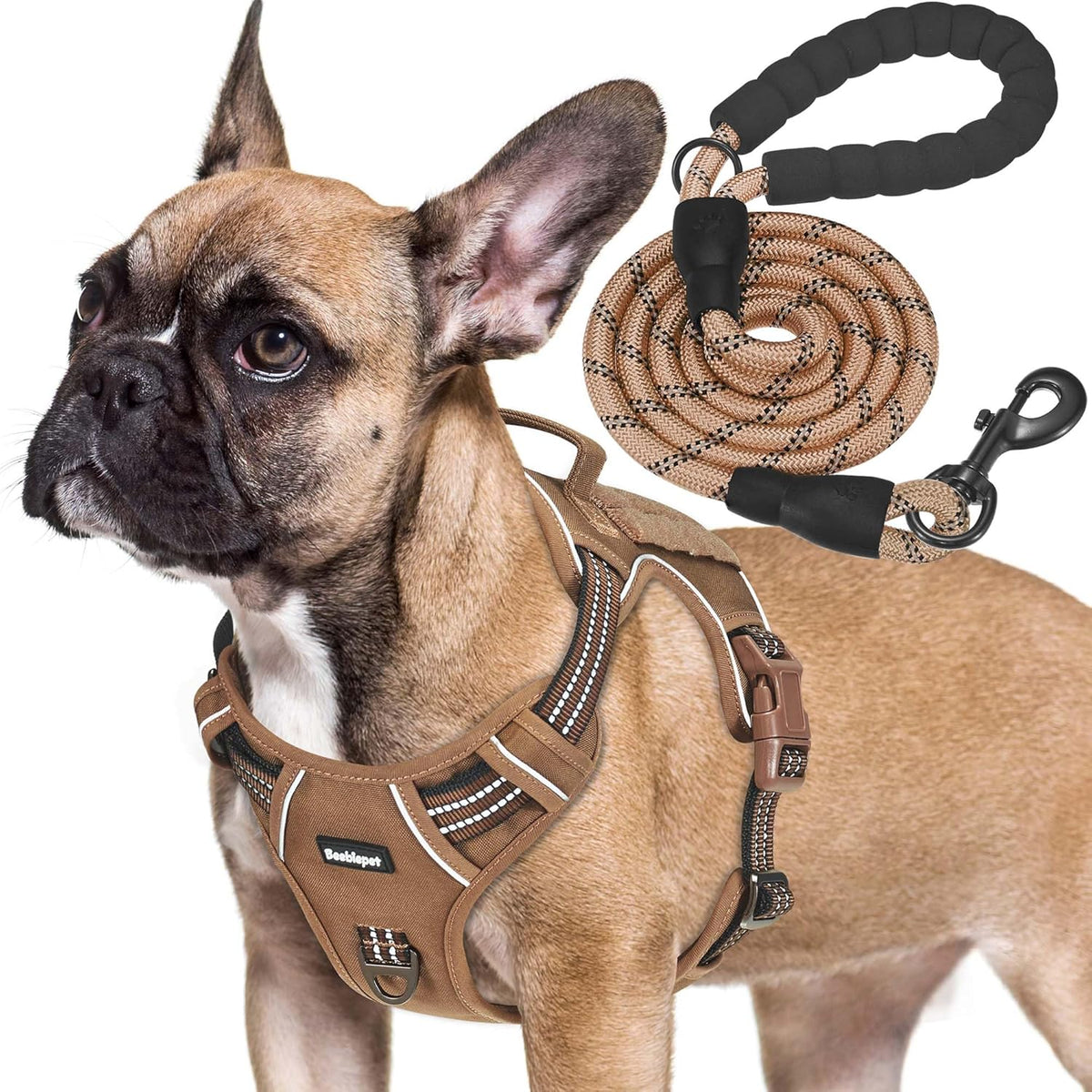 Beebiepet heavy duty vest reflective elements highlighted for night safety