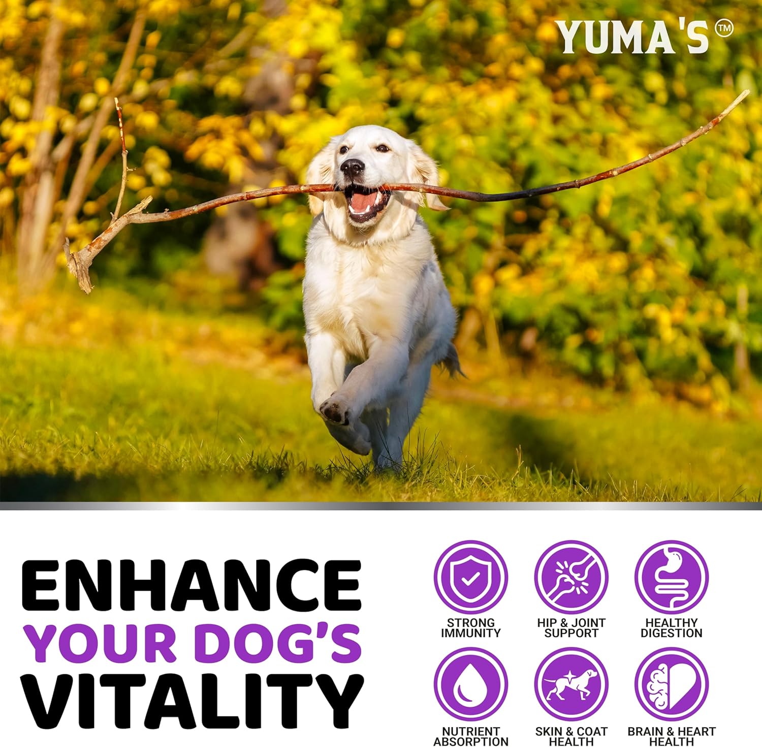 Side packaging of USA-imported Yuma's pet health supplement highlighting the veterinarian-formulated stamp.