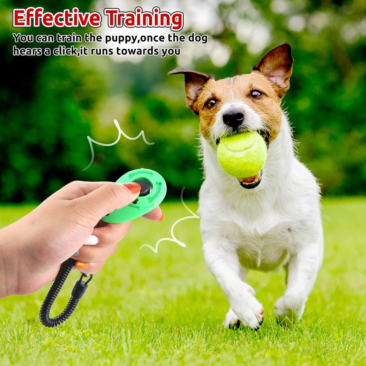 Pack of eighteen Frienda behavioral training clickers for professional pet trainers.