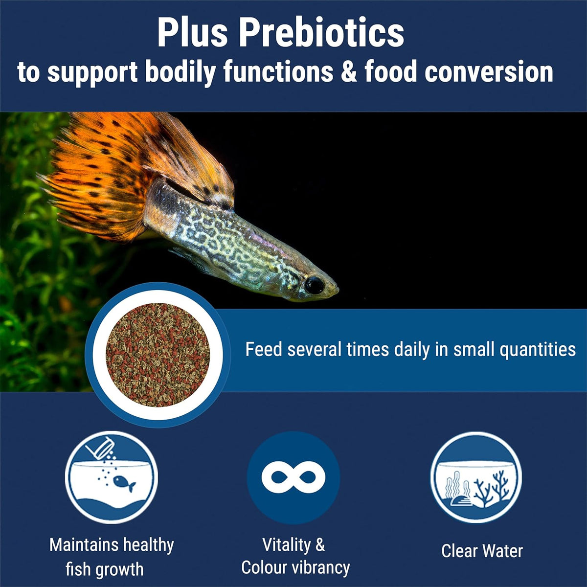 Tetra fish food container backside ingredient label