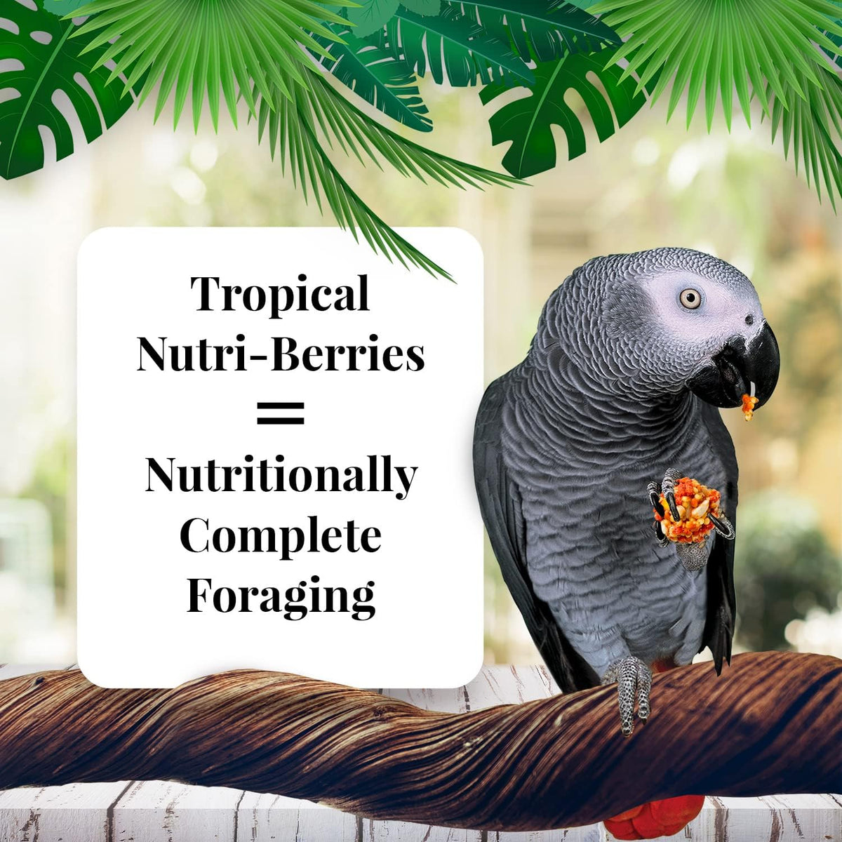 Close-up view of round berry-shaped parrot food morsels