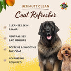 Close up of Pet Head mango scent dog refresher bottle