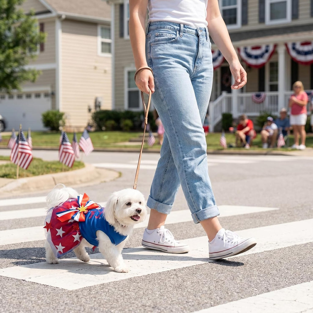 Habbiful american theme dog costume back view highlighting the festive bow detail