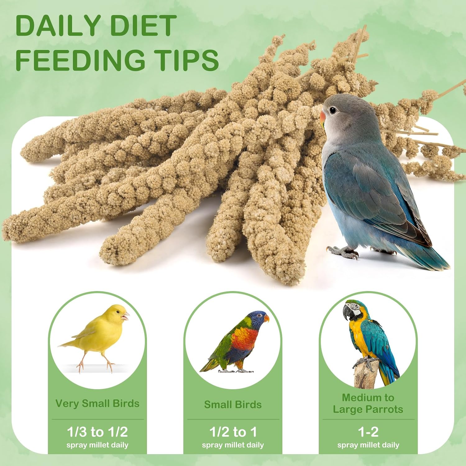 Bulk pack of Erkoon natural bird food and treats