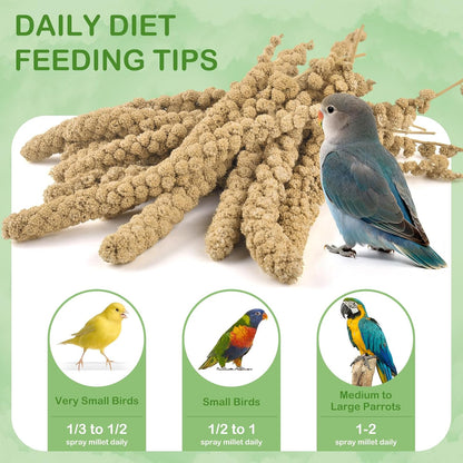 Bulk pack of Erkoon natural bird food and treats