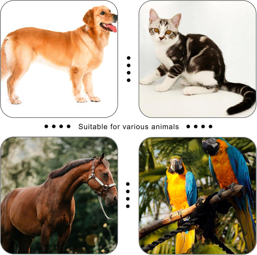 HoAoOo animal clicker training device with secure metal carabiner attachment
