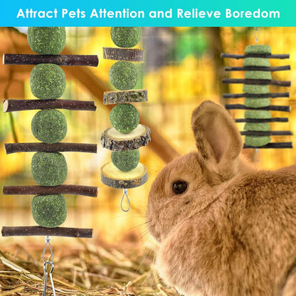 ERKOON guinea pig and hamster teething toys product details