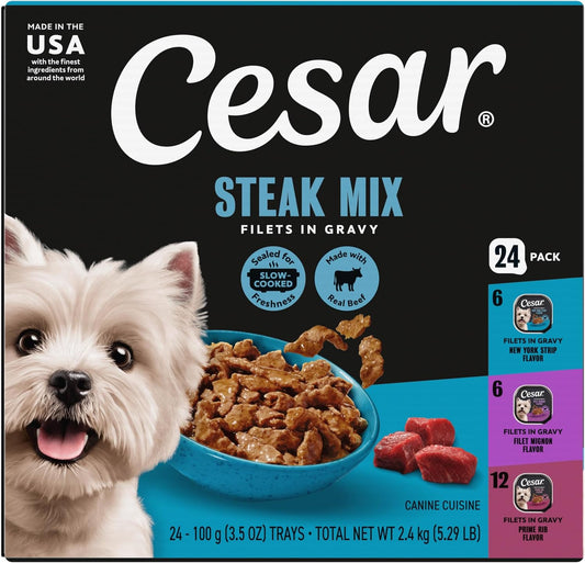 Cesar Filets in Gravy adult wet dog food variety pack front view premium imported pet food